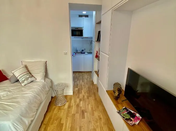 Letizia Daire Ajaccio (Corsica)